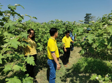 กลุ่มส่งเสริมสหกรณ์ 2 ลงพื้นที่อำเภอเด่นชัย ... พารามิเตอร์รูปภาพ 4