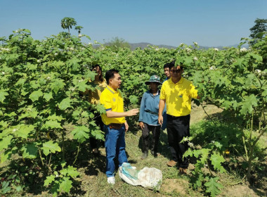 กลุ่มส่งเสริมสหกรณ์ 2 ลงพื้นที่อำเภอเด่นชัย ... พารามิเตอร์รูปภาพ 1