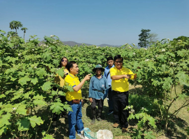 กลุ่มส่งเสริมสหกรณ์ 2 ลงพื้นที่อำเภอเด่นชัย ... พารามิเตอร์รูปภาพ 3