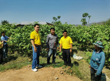 กลุ่มส่งเสริมสหกรณ์ 2 ลงพื้นที่อำเภอเด่นชัย ... พารามิเตอร์รูปภาพ 2