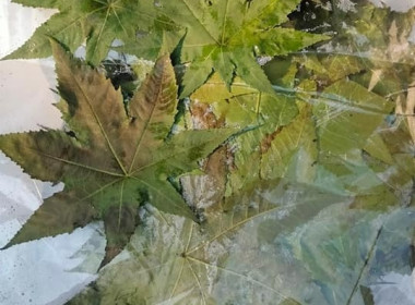 จัดอบรมโครงการพัฒนาศักยภาพด้านการตลาดเพื่อเพิ่มช่องทางการตลาด “หม้อห้อม” สินค้าเกษตรอัตลักษณ์พื้นถิ่นจังหวัดแพร่ ... พารามิเตอร์รูปภาพ 28