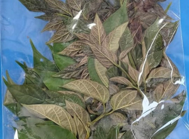 จัดอบรมโครงการพัฒนาศักยภาพด้านการตลาดเพื่อเพิ่มช่องทางการตลาด “หม้อห้อม” สินค้าเกษตรอัตลักษณ์พื้นถิ่นจังหวัดแพร่ ... พารามิเตอร์รูปภาพ 21