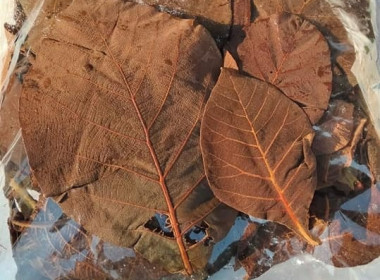 จัดอบรมโครงการพัฒนาศักยภาพด้านการตลาดเพื่อเพิ่มช่องทางการตลาด “หม้อห้อม” สินค้าเกษตรอัตลักษณ์พื้นถิ่นจังหวัดแพร่ ... พารามิเตอร์รูปภาพ 25