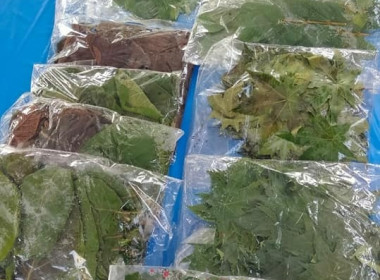 จัดอบรมโครงการพัฒนาศักยภาพด้านการตลาดเพื่อเพิ่มช่องทางการตลาด “หม้อห้อม” สินค้าเกษตรอัตลักษณ์พื้นถิ่นจังหวัดแพร่ ... พารามิเตอร์รูปภาพ 23