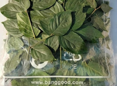 จัดอบรมโครงการพัฒนาศักยภาพด้านการตลาดเพื่อเพิ่มช่องทางการตลาด “หม้อห้อม” สินค้าเกษตรอัตลักษณ์พื้นถิ่นจังหวัดแพร่ ... พารามิเตอร์รูปภาพ 24