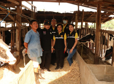 ลงพื้นที่ร่วมกับหน่วยงานสังกัดกระทรวงเกษตรและสหกรณ์ในจังหวัดแพร่ เพื่อตรวจสอบปริมาณน้ำนมโคทั้งระบบที่แท้จริง ของฟาร์มเกษตรกรและวิสาหกิจชุมชนในพื้นที่อำเภอเมืองแพร่ ... พารามิเตอร์รูปภาพ 2