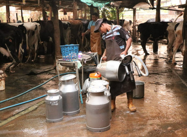 ลงพื้นที่ร่วมกับหน่วยงานสังกัดกระทรวงเกษตรและสหกรณ์ในจังหวัดแพร่ เพื่อตรวจสอบปริมาณน้ำนมโคทั้งระบบที่แท้จริง ของฟาร์มเกษตรกรและวิสาหกิจชุมชนในพื้นที่อำเภอเมืองแพร่ ... พารามิเตอร์รูปภาพ 7
