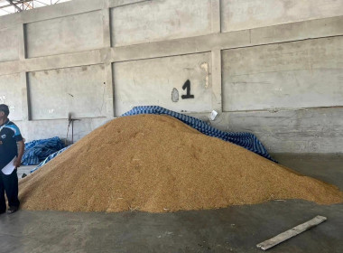 เข้าร่วมสังเกตการณ์และตรวจนับสินค้าคงเหลือของสหกรณ์การเกษตรร้องกวาง จำกัด ... พารามิเตอร์รูปภาพ 6