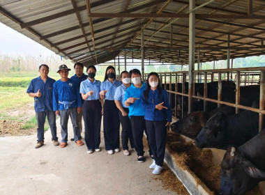 เข้าร่วมสังเกตการณ์ การตรวจนับสินค้าคงเหลือ ... พารามิเตอร์รูปภาพ 5