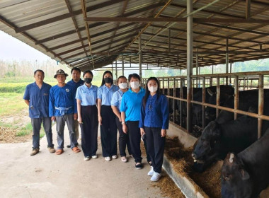 เข้าร่วมสังเกตการณ์ การตรวจนับสินค้าคงเหลือ ... พารามิเตอร์รูปภาพ 1