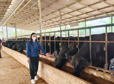 เข้าร่วมสังเกตการณ์ การตรวจนับสินค้าคงเหลือ ... พารามิเตอร์รูปภาพ 2