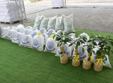 รัฐมนตรีว่าการกระทรวงเกษตรและสหกรณ์ ... พารามิเตอร์รูปภาพ 39