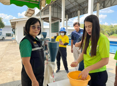 เข้าร่วมสังเกตการณ์ซื้อขายข้าวเปลือกตามโครงการจัดตลาดนัดข้าวเปลือก ปีการผลิต 2567/68 จังหวัดแพร่ ... พารามิเตอร์รูปภาพ 11