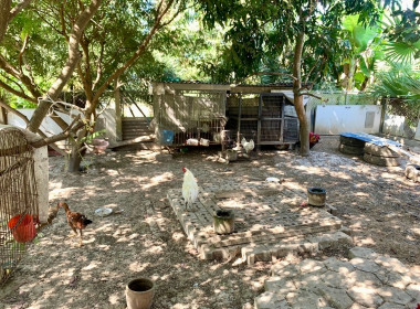 ลงพื้นที่แนะนำ ส่งเสริม ... พารามิเตอร์รูปภาพ 4