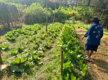 จัดอบรมการส่งเสริมอาชีพ ลดต้นทุนการผลิต สร้างรายได้ ... พารามิเตอร์รูปภาพ 10
