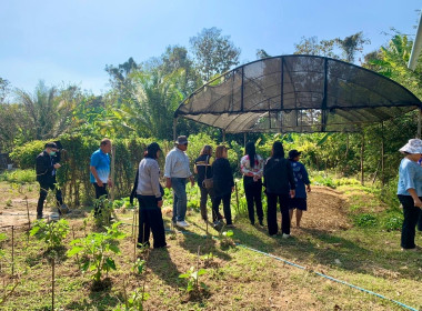 จัดอบรมการส่งเสริมอาชีพ ลดต้นทุนการผลิต สร้างรายได้ ... พารามิเตอร์รูปภาพ 9