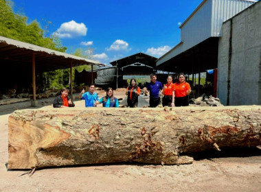 ประชุมเชิงปฏิบัติการโครงการแก้ไขปัญหาขาดทุนสะสม/ขาดทุนต่อเนื่องของสหกรณ์ปีงบประมาณ พ.ศ. 2568 ... พารามิเตอร์รูปภาพ 1