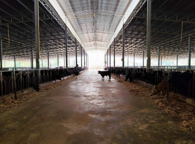 ลงพื้นที่เก็บข้อมูลประกอบการวิเคราะห์คำขอกู้เงินกองทุนปรับโครงสร้างการผลิตภาคเกษตรเพื่อเพิ่มขีดความสามารถการแข่งขันของประเทศ (FTA) ของสหกรณ์การเกษตรวังชิ้น จำกัด ... พารามิเตอร์รูปภาพ 8