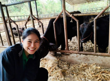 ลงพื้นที่เก็บข้อมูลประกอบการวิเคราะห์คำขอกู้เงินกองทุนปรับโครงสร้างการผลิตภาคเกษตรเพื่อเพิ่มขีดความสามารถการแข่งขันของประเทศ (FTA) ของสหกรณ์การเกษตรวังชิ้น จำกัด ... พารามิเตอร์รูปภาพ 2