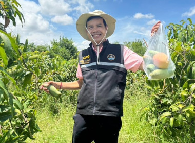 โครงการส่งเสริมและพัฒนาอาชีพ ... พารามิเตอร์รูปภาพ 3