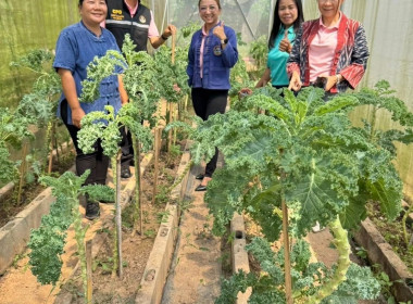 โครงการส่งเสริมและพัฒนาอาชีพ ... พารามิเตอร์รูปภาพ 7