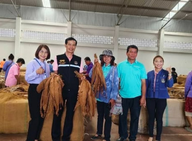 โครงการส่งเสริมและพัฒนาอาชีพ ... พารามิเตอร์รูปภาพ 4