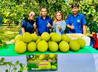 ร่วมงานประชาสัมพันธ์ส้มโอขาวน้ำผึ้ง ... พารามิเตอร์รูปภาพ 9