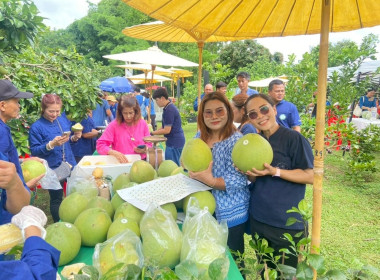 ร่วมงานประชาสัมพันธ์ส้มโอขาวน้ำผึ้ง ... พารามิเตอร์รูปภาพ 6