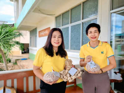 ร่วมสนับสนุนและช่วยเหลือการกระจายกระเทียม พารามิเตอร์รูปภาพ 1