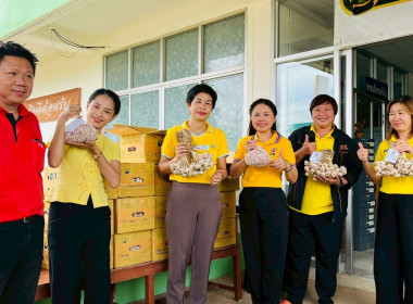 ร่วมสนับสนุนและช่วยเหลือการกระจายกระเทียม พารามิเตอร์รูปภาพ 4