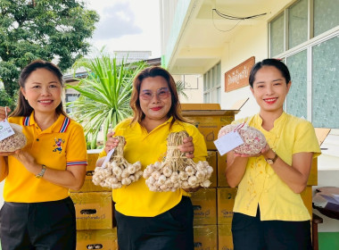 ร่วมสนับสนุนและช่วยเหลือการกระจายกระเทียม พารามิเตอร์รูปภาพ 3