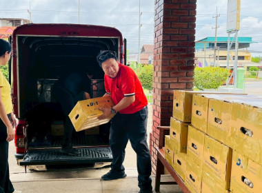 ร่วมสนับสนุนและช่วยเหลือการกระจายกระเทียม พารามิเตอร์รูปภาพ 2