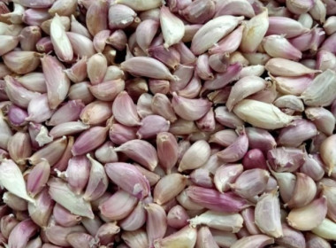 ร่วมสนับสนุนและช่วยเหลือการกระจายกระเทียม พารามิเตอร์รูปภาพ 8