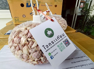 ร่วมสนับสนุนและช่วยเหลือการกระจายกระเทียม พารามิเตอร์รูปภาพ 5