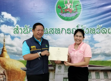 “ขับเคลื่อน นโยบาย DRIVE” พารามิเตอร์รูปภาพ 20