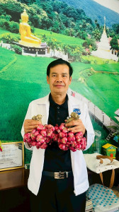 รับมอบและกระจายหอมแดงจากเกษตรกรผู้ปลูกหอมแดง ... พารามิเตอร์รูปภาพ 1