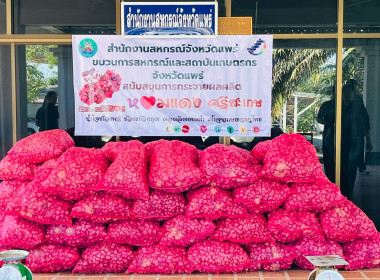 รับมอบและกระจายหอมแดงจากเกษตรกรผู้ปลูกหอมแดง ... พารามิเตอร์รูปภาพ 3