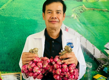 รับมอบและกระจายหอมแดงจากเกษตรกรผู้ปลูกหอมแดง ... พารามิเตอร์รูปภาพ 1