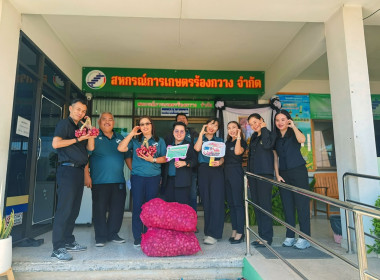 รับมอบและกระจายหอมแดงจากเกษตรกรผู้ปลูกหอมแดง ... พารามิเตอร์รูปภาพ 9