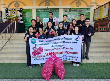 รับมอบและกระจายหอมแดงจากเกษตรกรผู้ปลูกหอมแดง ... พารามิเตอร์รูปภาพ 16