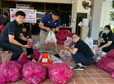 รับมอบและกระจายหอมแดงจากเกษตรกรผู้ปลูกหอมแดง ... พารามิเตอร์รูปภาพ 6