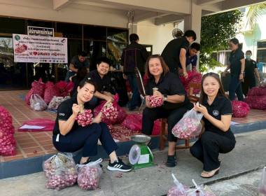 รับมอบและกระจายหอมแดงจากเกษตรกรผู้ปลูกหอมแดง ... พารามิเตอร์รูปภาพ 5