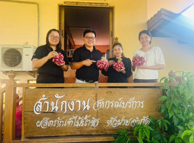 รับมอบและกระจายหอมแดงจากเกษตรกรผู้ปลูกหอมแดง ... พารามิเตอร์รูปภาพ 11