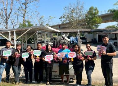 รับมอบและกระจายหอมแดงจากเกษตรกรผู้ปลูกหอมแดง ... พารามิเตอร์รูปภาพ 13