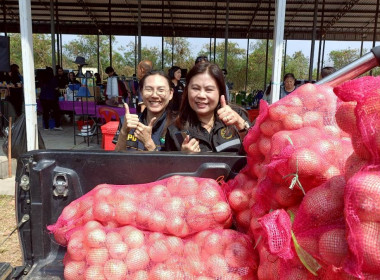 ร่วมกิจกรรมประชาสัมพันธ์และปล่อยคาราวานหอมหัวใหญ่ ... พารามิเตอร์รูปภาพ 8