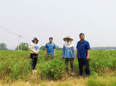 ลงพื้นที่ติดตามการใช้เงินกู้กองทุนพัฒนาสหกรณ์ ... พารามิเตอร์รูปภาพ 7