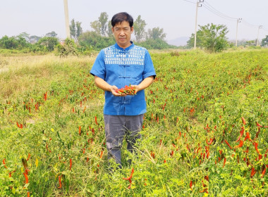 ลงพื้นที่ติดตามการใช้เงินกู้กองทุนพัฒนาสหกรณ์ ... พารามิเตอร์รูปภาพ 4