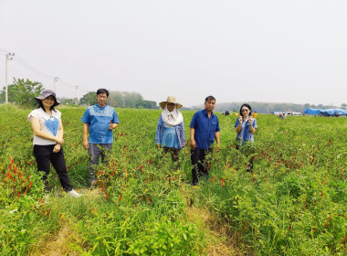 ลงพื้นที่ติดตามการใช้เงินกู้กองทุนพัฒนาสหกรณ์ ... พารามิเตอร์รูปภาพ 3