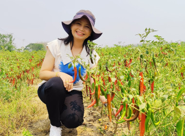 ลงพื้นที่ติดตามการใช้เงินกู้กองทุนพัฒนาสหกรณ์ ... พารามิเตอร์รูปภาพ 5