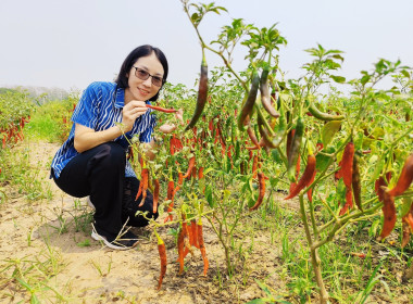 ลงพื้นที่ติดตามการใช้เงินกู้กองทุนพัฒนาสหกรณ์ ... พารามิเตอร์รูปภาพ 6